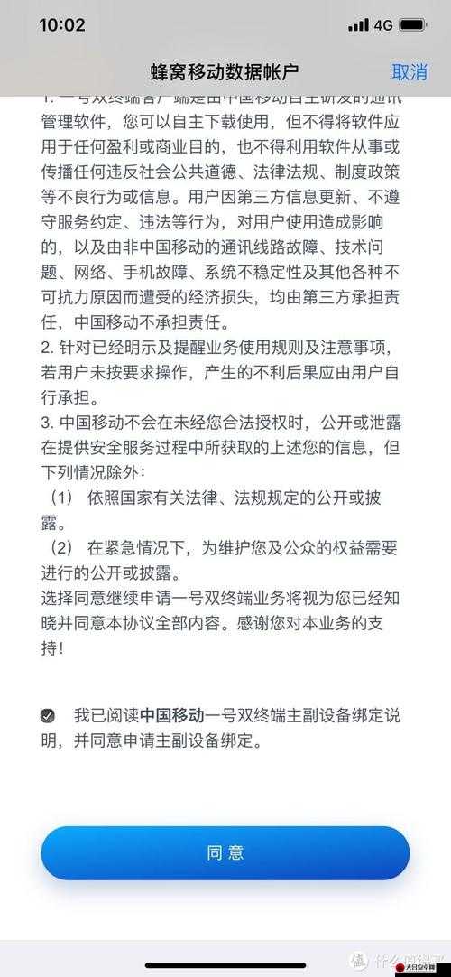 2025年春节期间（龙年末蛇年初）移动终端版使用情况小结